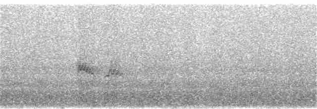 Evening Grosbeak (Mexican or type 5) - ML306436741