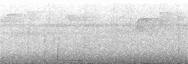 Tüpfelkronen-Ameisenvogel - ML306504431