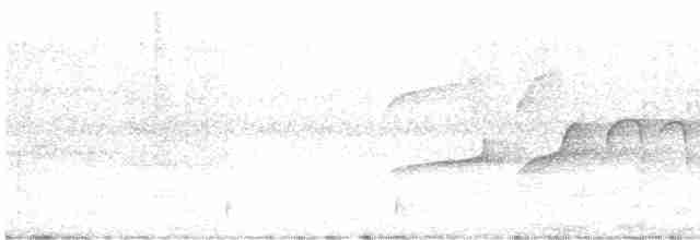 Kızılca Karınlı Yer Guguğu - ML306602471