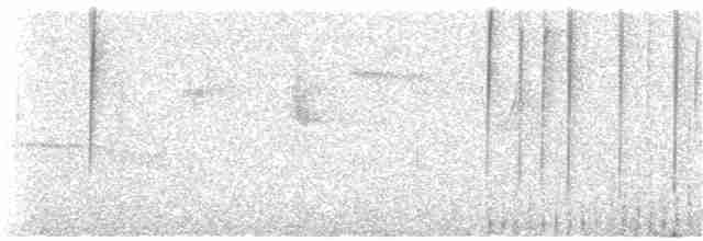 Gray-hooded Sierra Finch (minor) - ML306628431