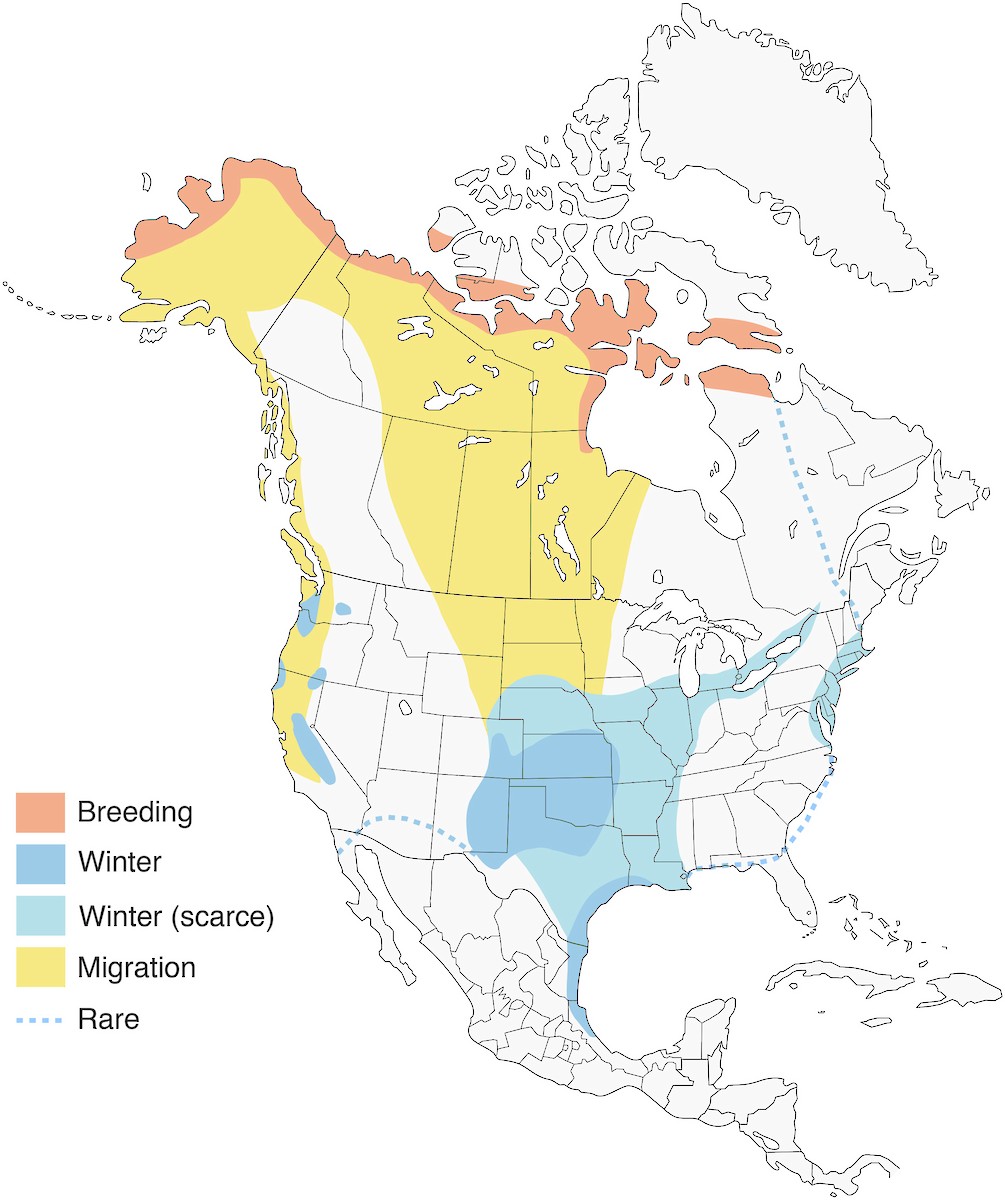 Cackling Goose Range Map