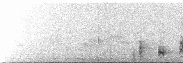 Kara Giysili Karıncakuşu - ML306821591