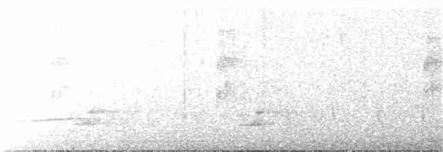 Pale-browed Tinamou - ML306825121