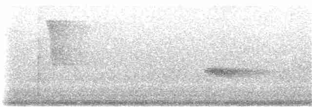 Black-throated Green Warbler - ML30683821