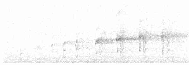 Chevêchette australe - ML306881741