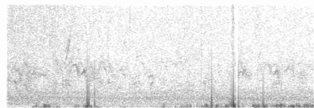 Klappergrasmücke (halimodendri) - ML306940931
