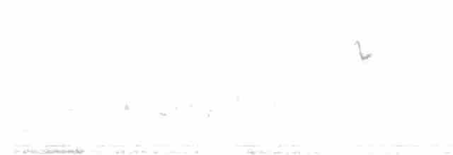 Graudrosselhäherling - ML306942331