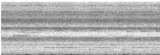Zigzag Heron - ML307048471