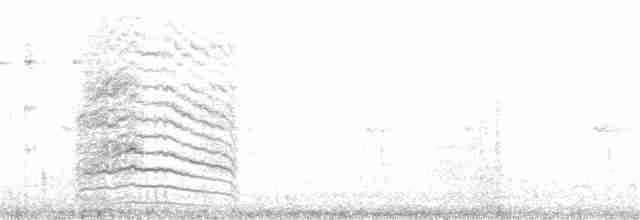 Пересмішник сірий - ML307164131