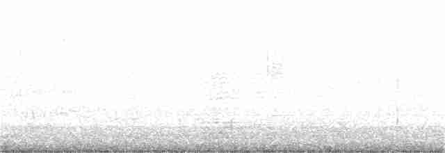 hvitbrynsvartspett - ML307195401