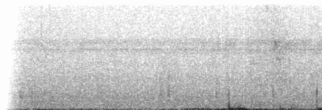 Gray-rumped Swift - ML307245
