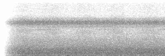 Tinamou à calotte noire - ML307258