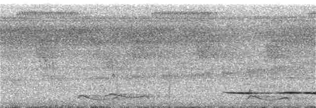 Ochre-striped Antpitta - ML307272101