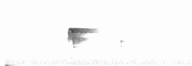 Ornate Flycatcher - ML307273941
