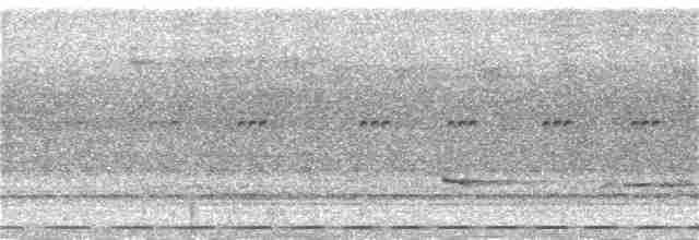 Boyalı Yerçavuşu - ML307302111