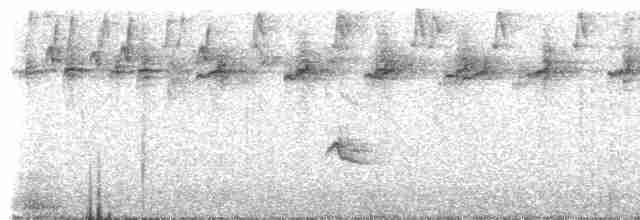 blåvingetanagar (somptuosus gr.) - ML307312