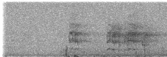 Чернокрылый лорито - ML307341