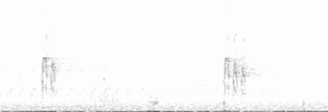 Белоголовый дятел - ML307352181