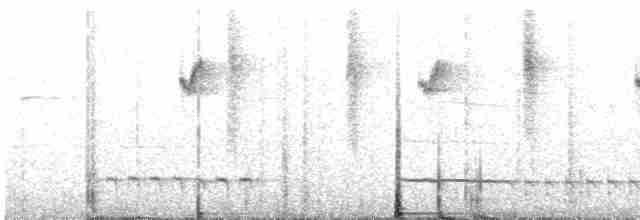 Сичик-горобець болівійський - ML307354