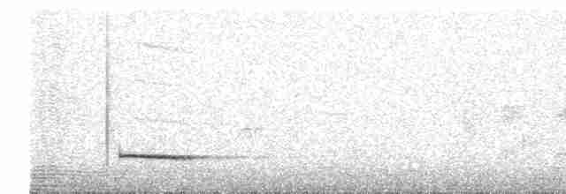 Al Beyaz Yerçavuşu - ML307360
