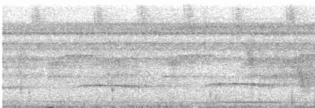 Zigzag Heron - ML307361731