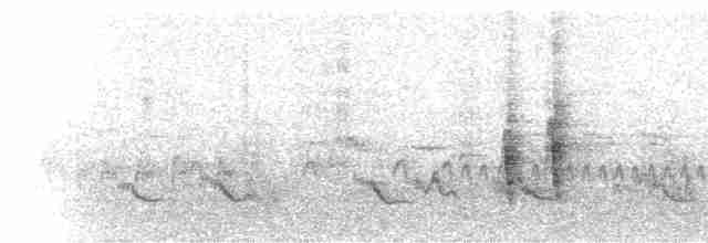 Münzevi Bülbül Ardıcı - ML307362531