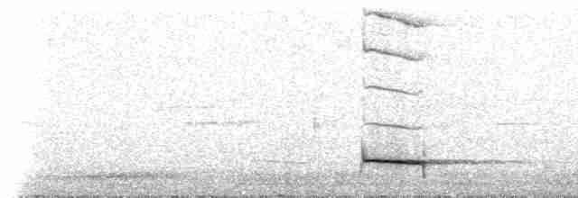 Al Beyaz Yerçavuşu - ML307388