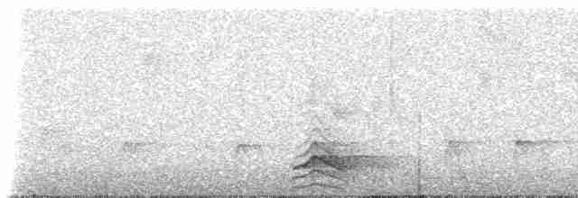 Tinamou à capuchon - ML307410