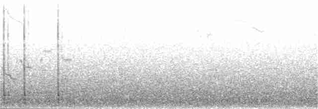 Дятел-смоктун білочеревий - ML30742581