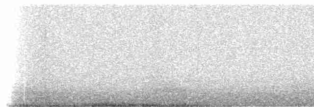 Белоухая поганка - ML307447
