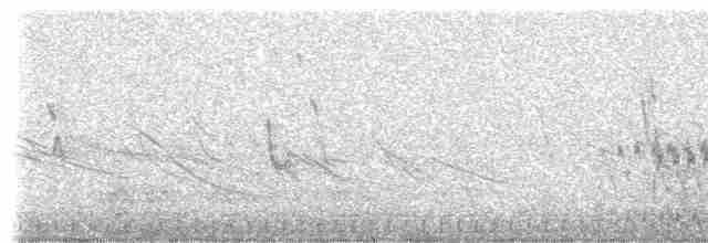 Çıplak Gözlü Yer Kumrusu - ML307483