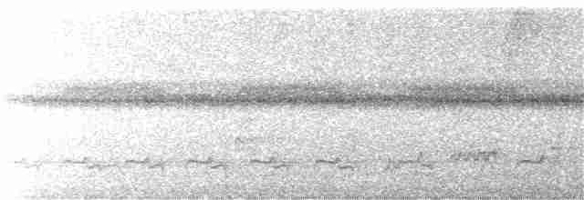 Лінивка-коротун сіроголова - ML307500291