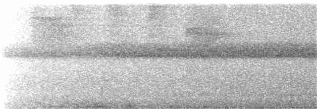 Лінивка-коротун сіроголова - ML307500361
