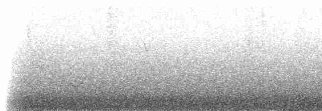 Black-spectacled Brushfinch - ML307506