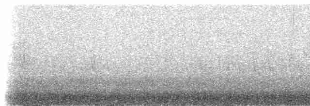 Kadife Karınlı Dağ Kolibrisi - ML307520