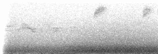 Black-spectacled Brushfinch - ML307523