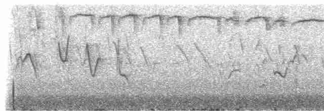 Reinita Citrina (striaticeps) - ML307538