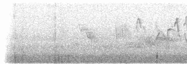 Bonapartewaldsänger (striaticeps) - ML307540