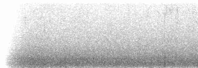 Black-spectacled Brushfinch - ML307544