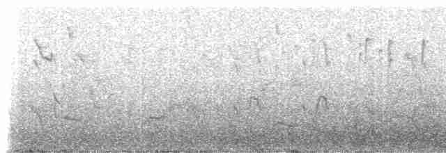 Black-spectacled Brushfinch - ML307547