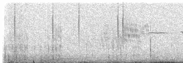 Оазисный колибри - ML307570