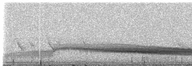 Swallow-tailed Nightjar - ML307622