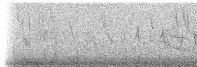 Kestane Gıdılı Tohumcul - ML307639