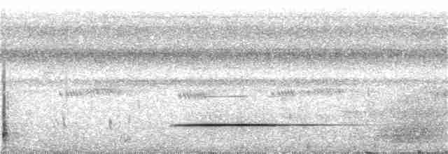Tinamou de Bartlett - ML307758511