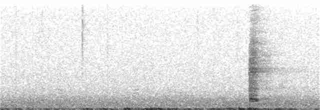 Ring-necked Pheasant - ML307803561