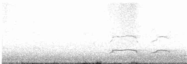 Haubenschlangenadler [cheela-Gruppe] - ML307825411