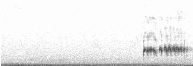 Western Grebe - ML307825561