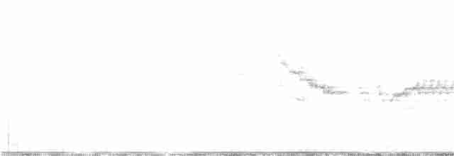 Пестрогорлый соловьиный дрозд - ML307830491