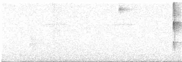 White-eared Sibia - ML307863661