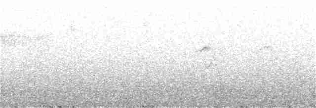 Spectacled Redstart - ML307970611